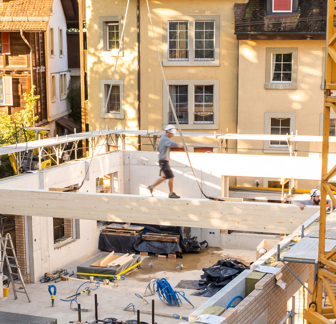 Zimmerin / Zimmermann EFZ 80-100%